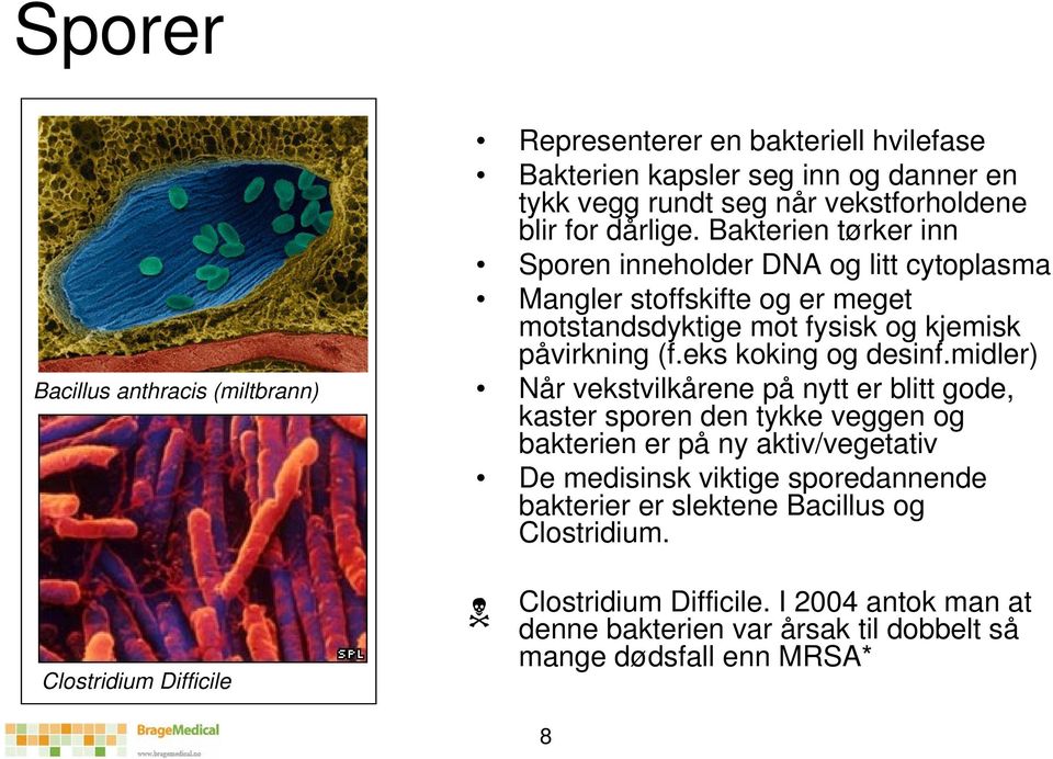 Bakterien tørker inn Sporen inneholder DNA og litt cytoplasma Mangler stoffskifte og er meget motstandsdyktige mot fysisk og kjemisk påvirkning (f.eks koking og desinf.