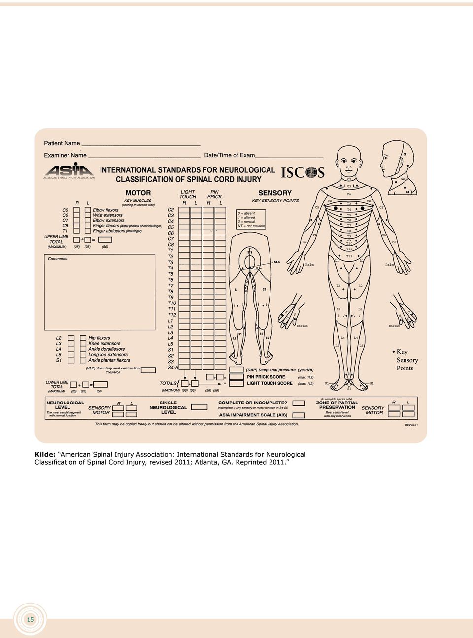 International Standards for Neurological