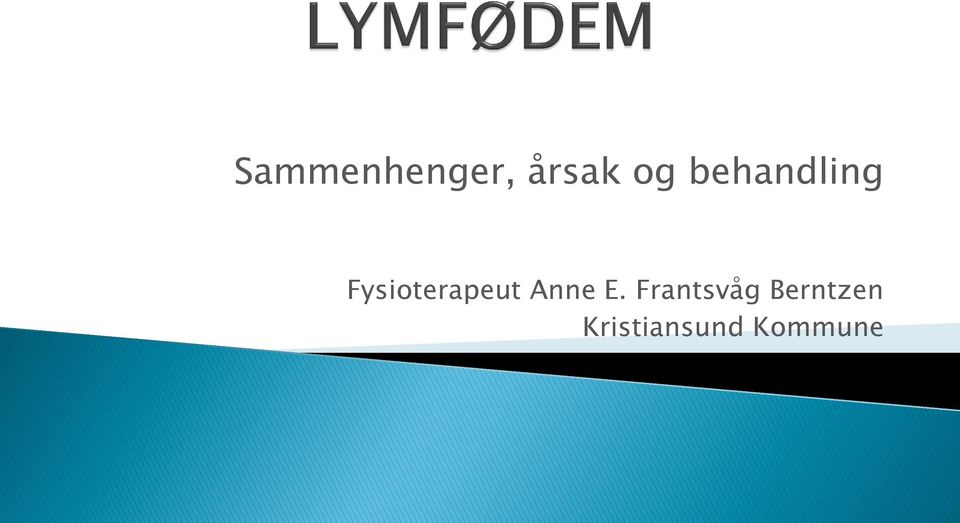 Fysioterapeut Anne E.