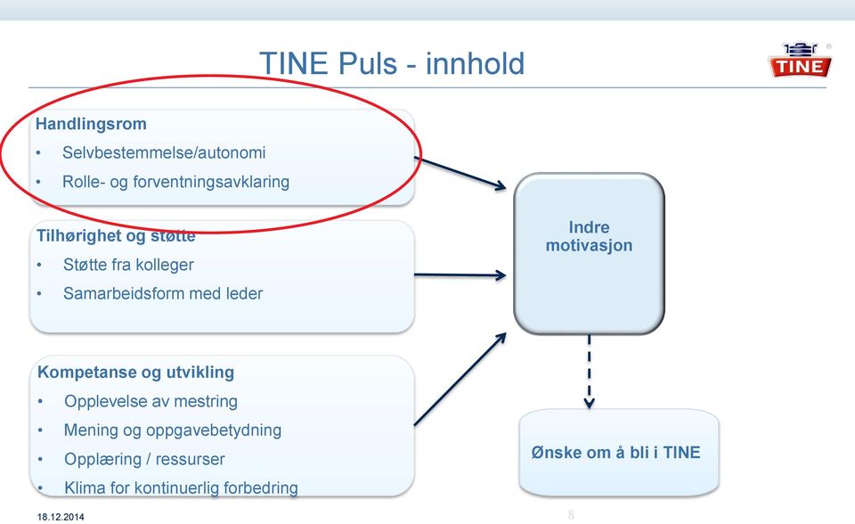 leder Indre motivasjon Kompetanse og utvikling Opplevelse av mestring Mening og