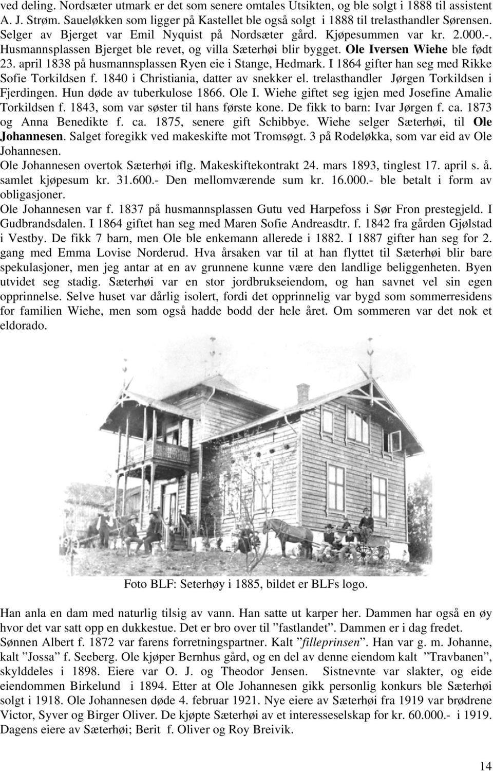 april 1838 på husmannsplassen Ryen eie i Stange, Hedmark. I 1864 gifter han seg med Rikke Sofie Torkildsen f. 1840 i Christiania, datter av snekker el. trelasthandler Jørgen Torkildsen i Fjerdingen.