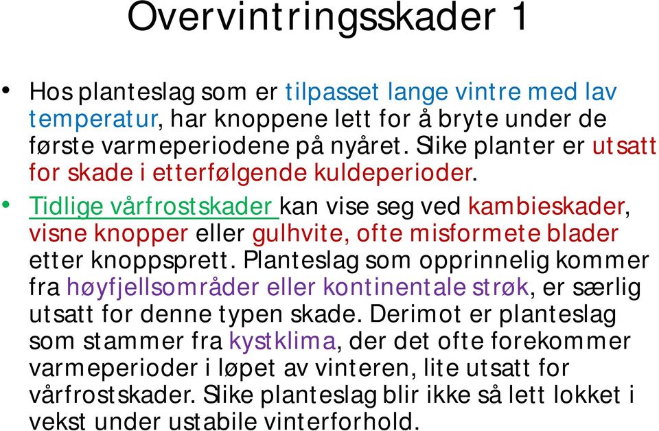 Tidlige vårfrostskader kan vise seg ved kambieskader, visne knopper eller gulhvite, ofte misformete blader etter knoppsprett.