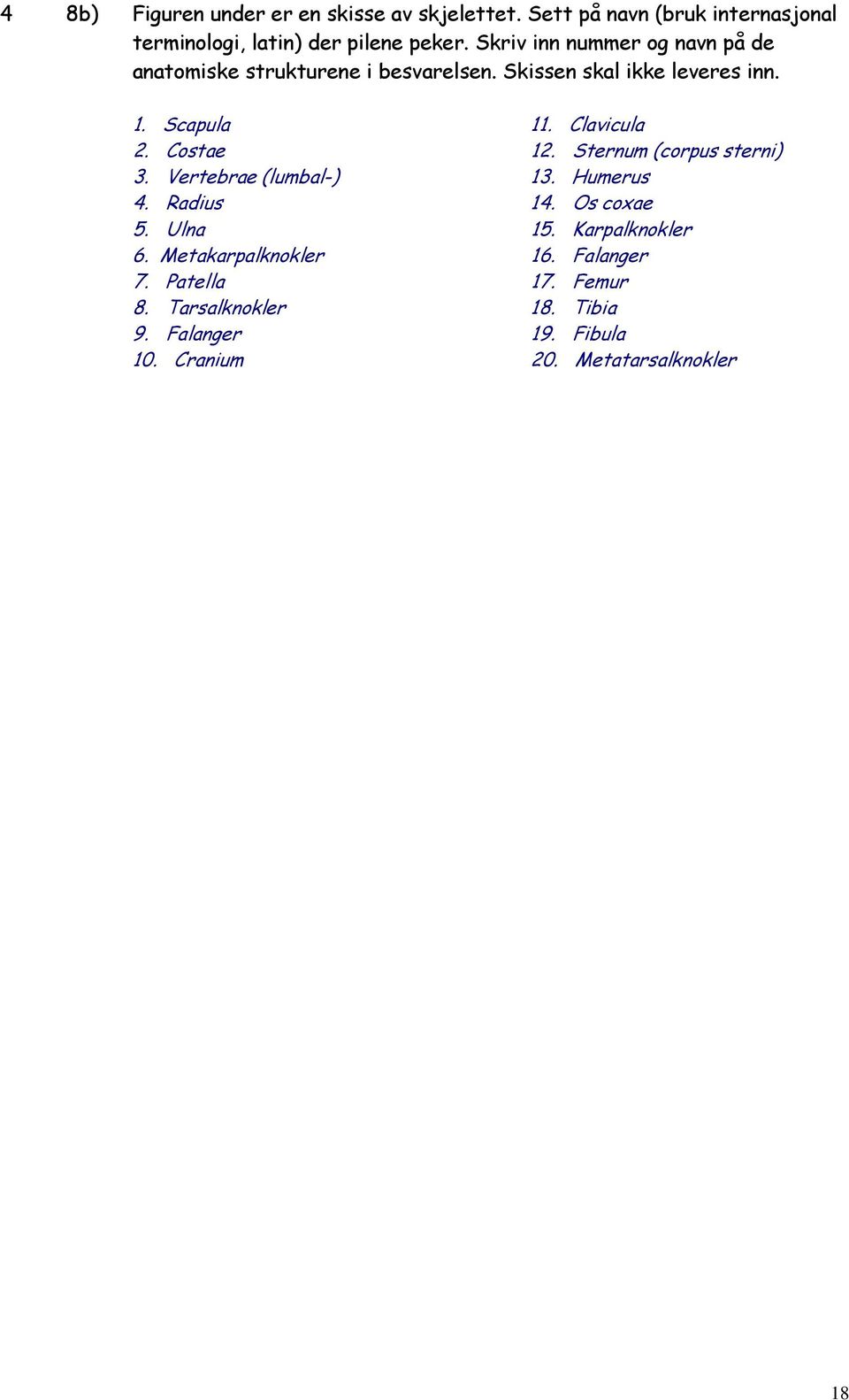 Costae 12. Sternum (corpus sterni) 3. Vertebrae (lumbal-) 13. Humerus 4. Radius 14. Os coxae 5. Ulna 15. Karpalknokler 6.