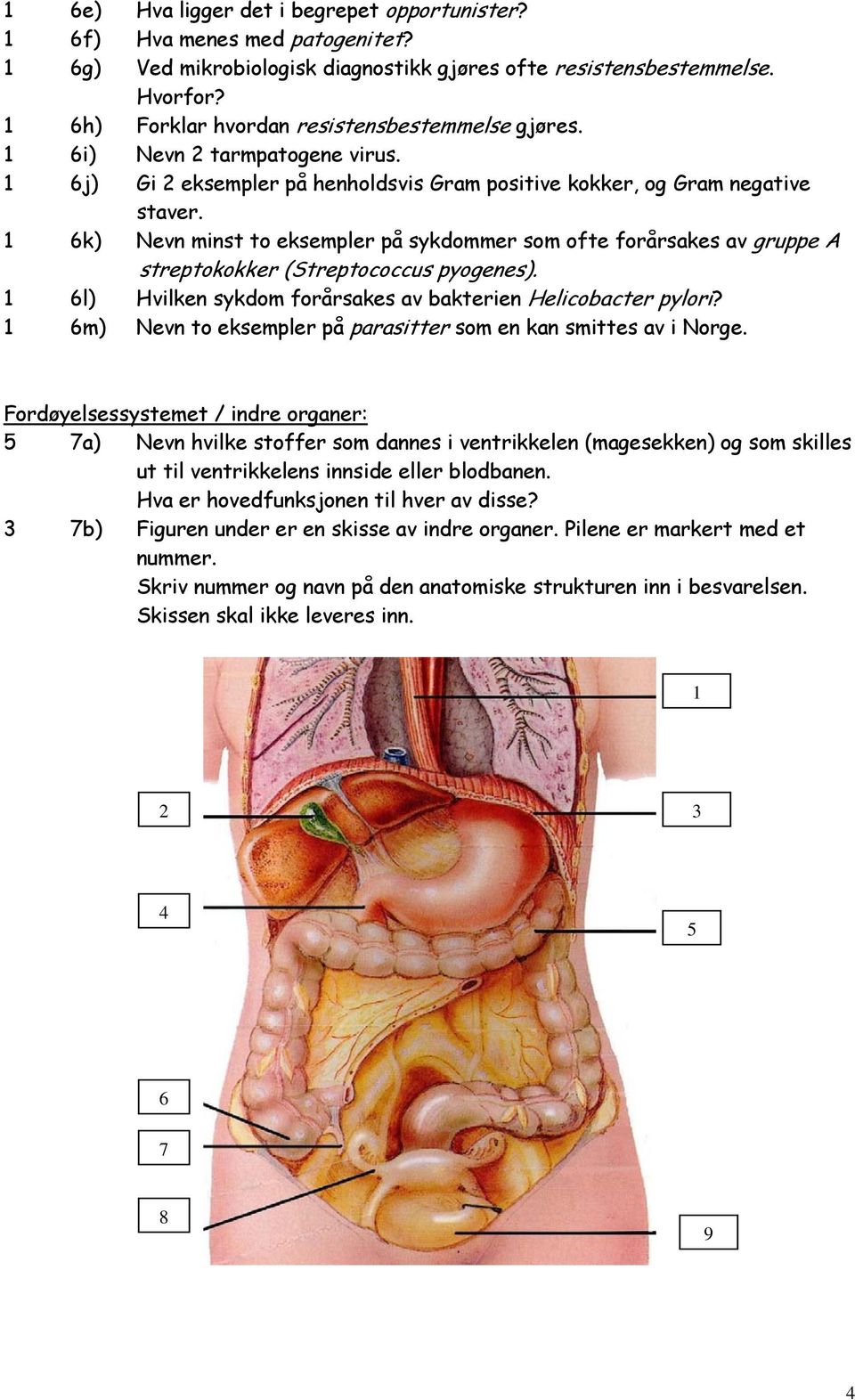 1 6k) Nevn minst to eksempler på sykdommer som ofte forårsakes av gruppe A streptokokker (Streptococcus pyogenes). 1 6l) Hvilken sykdom forårsakes av bakterien Helicobacter pylori?