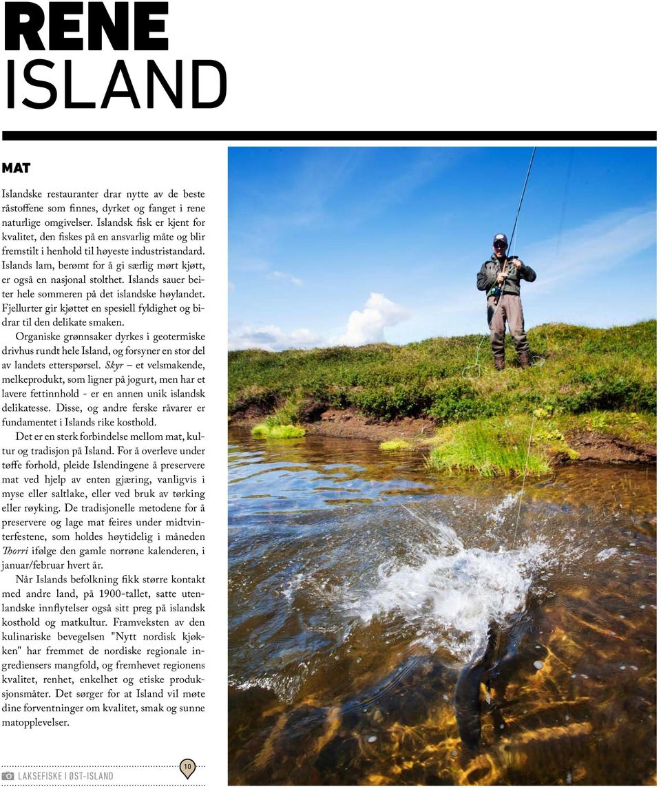 Islands lam, berømt for å gi særlig mørt kjøtt, er også en nasjonal stolthet. Islands sauer beiter hele sommeren på det islandske høylandet.