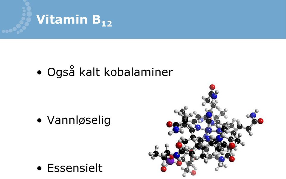 kobalaminer