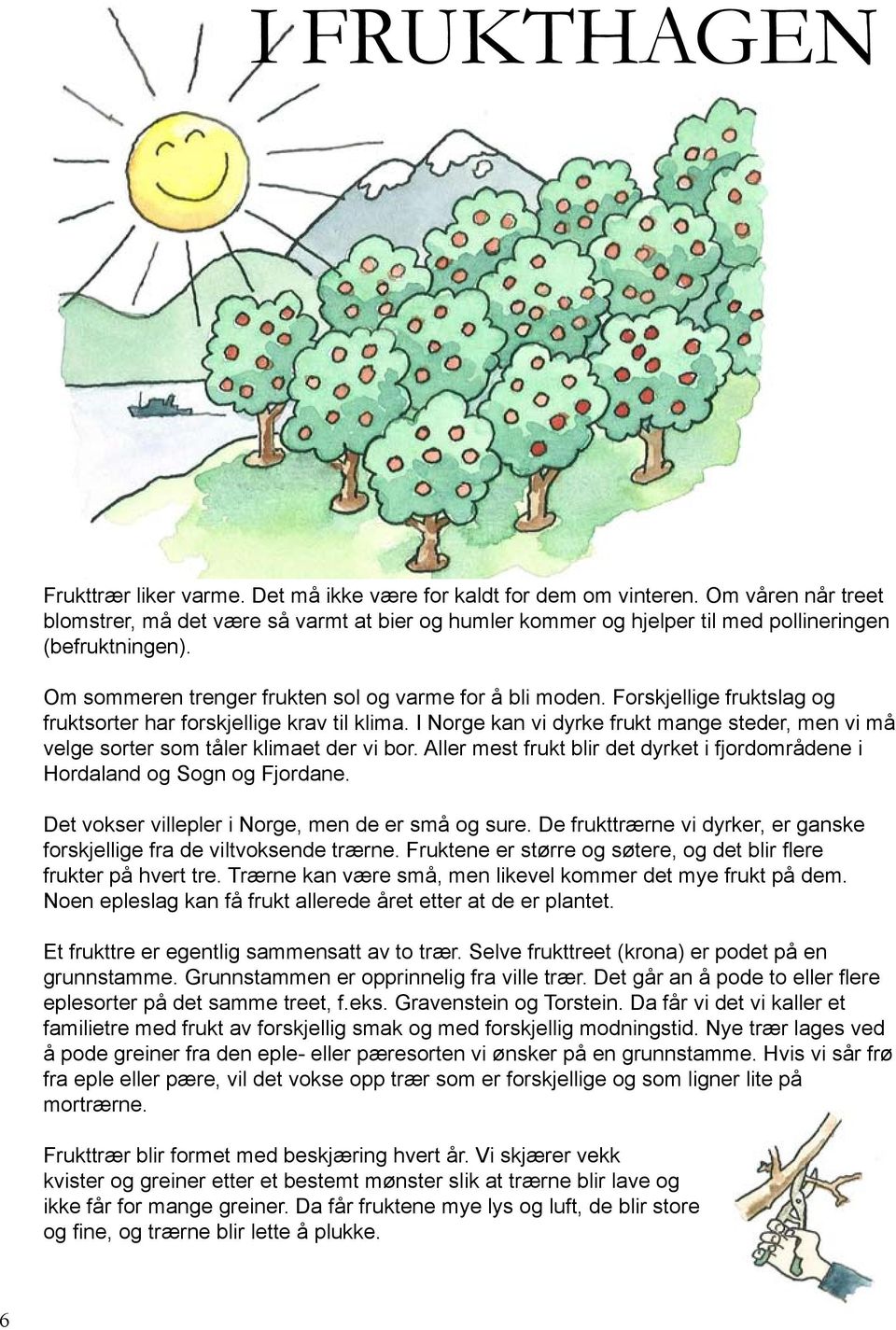 Forskjellige fruktslag og fruktsorter har forskjellige krav til klima. I Norge kan vi dyrke frukt mange steder, men vi må velge sorter som tåler klimaet der vi bor.