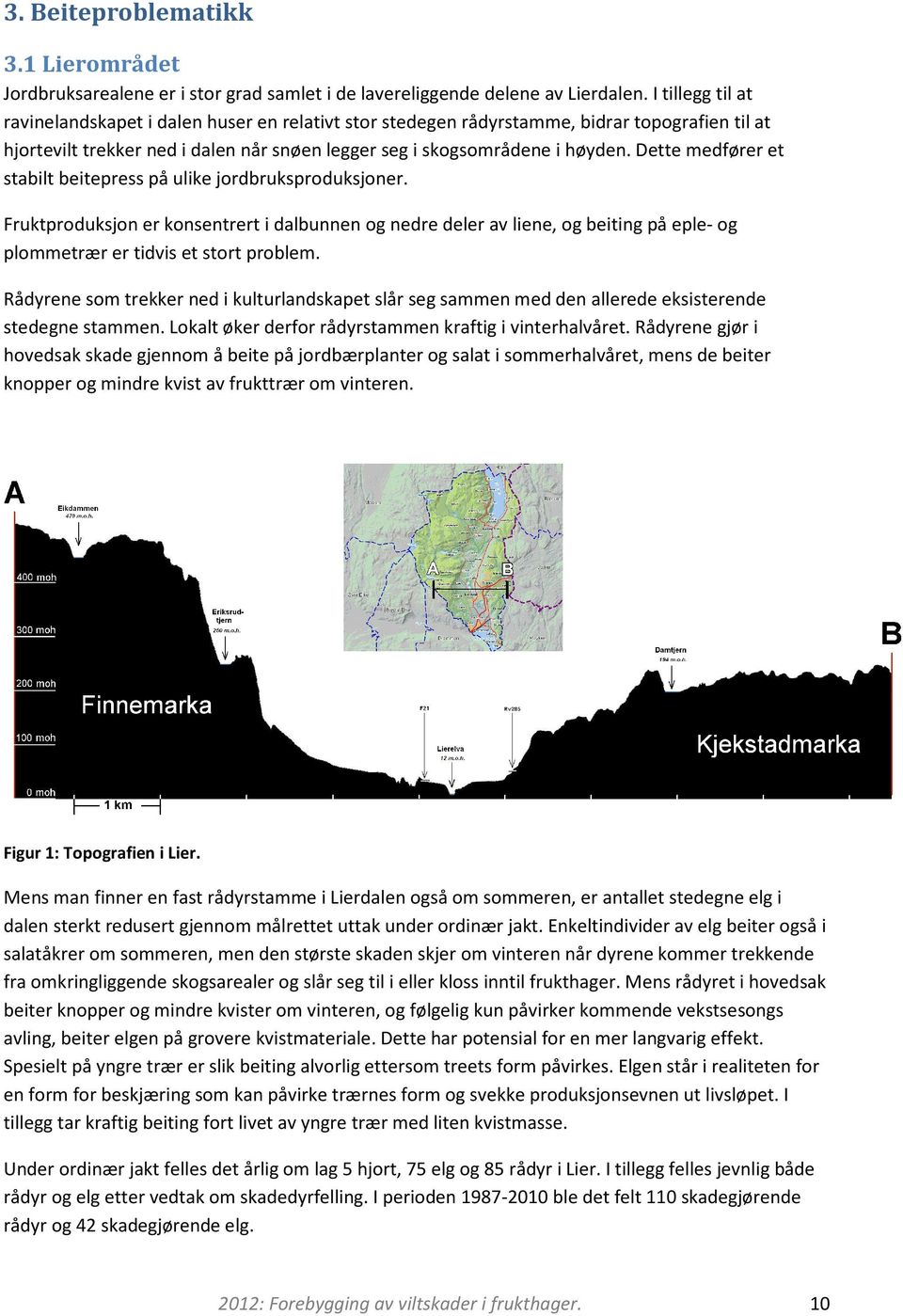 Dette medfører et stabilt beitepress på ulike jordbruksproduksjoner. Fruktproduksjon er konsentrert i dalbunnen og nedre deler av liene, og beiting på eple- og plommetrær er tidvis et stort problem.