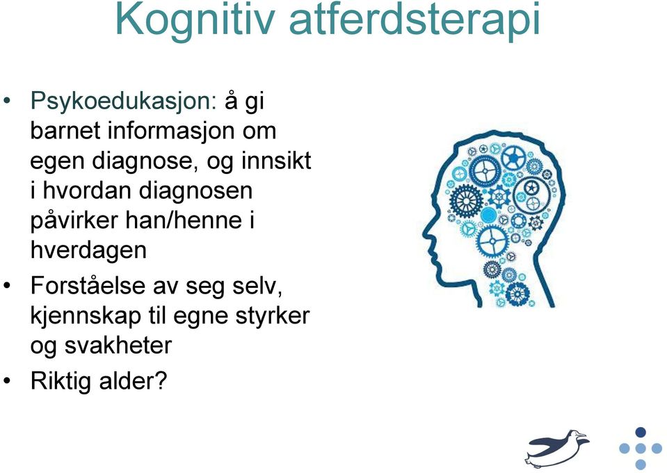 diagnosen påvirker han/henne i hverdagen Forståelse av