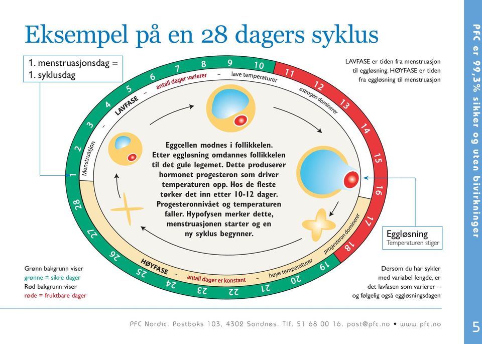 Hypofysen merker dette, menstruasjonen starter og en ny syklus begynner. Lavfase er tiden fra menstruasjon til eggløsning.