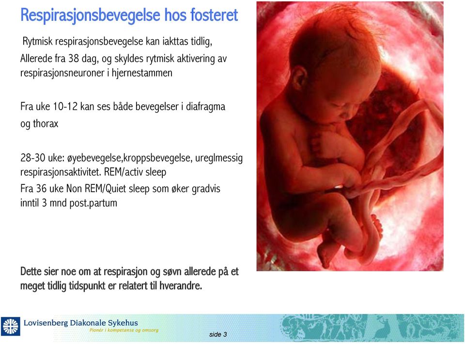 øyebevegelse,kroppsbevegelse, ureglmessig respirasjonsaktivitet.