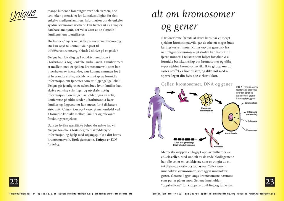 org. Du kan også ta kontakt via e-post til info@rarechromo.org. (Husk å skrive på engelsk.) Unique har lokallag og kontakter rundt om i Storbritannia (og i enkelte andre land).