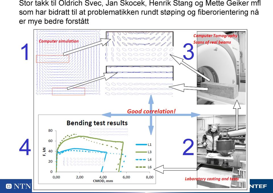 bidratt til at problematikken rundt støping