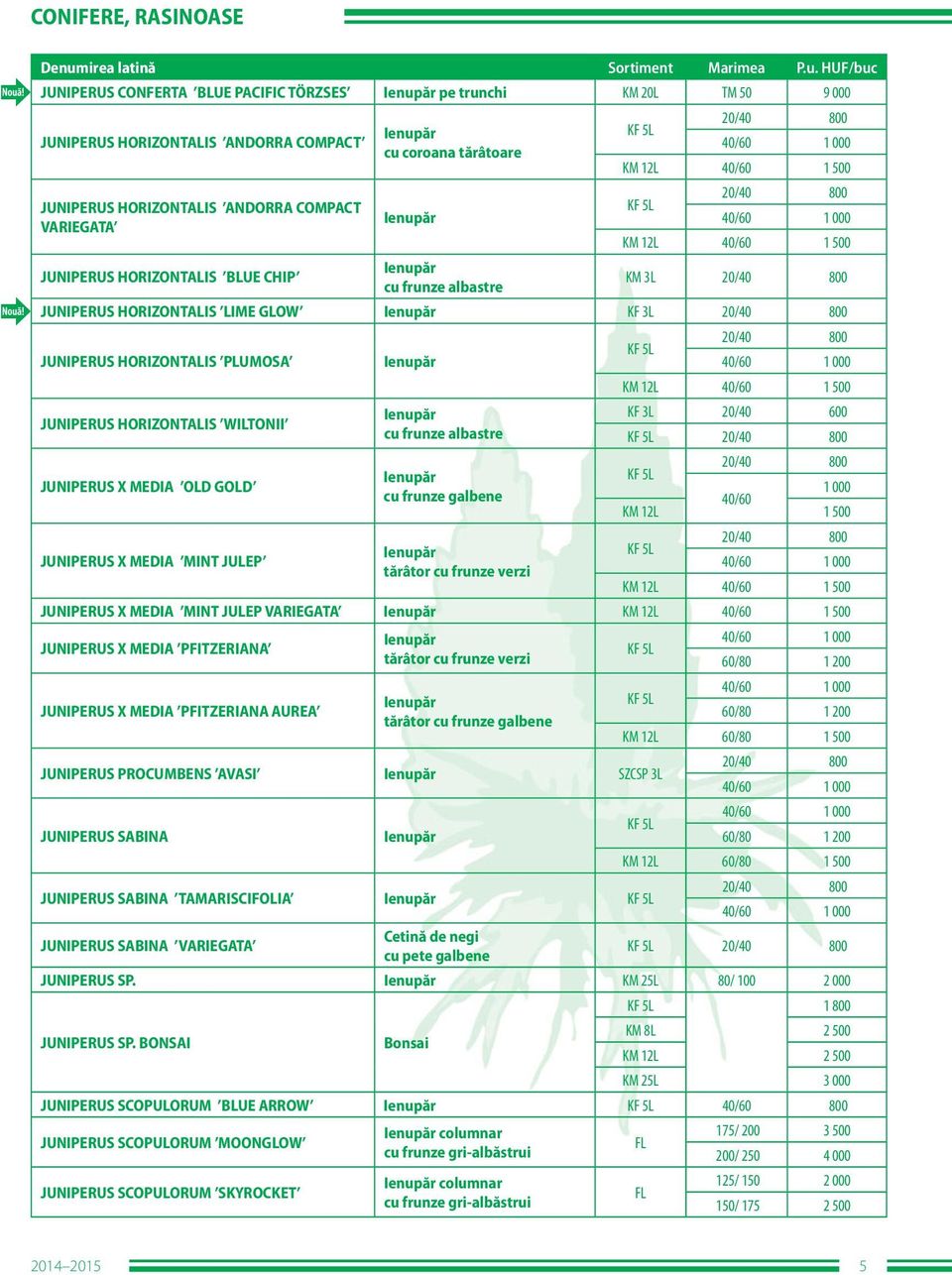 Ienupăr KF 3L 20/40 800 20/40 800 JUNIPERUS HORIZONTALIS PLUMOSA Ienupăr KM 12L 40/60 1 500 JUNIPERUS HORIZONTALIS WILTONII Ienupăr KF 3L 20/40 600 cu frunze albastre 20/40 800 JUNIPERUS X MEDIA OLD