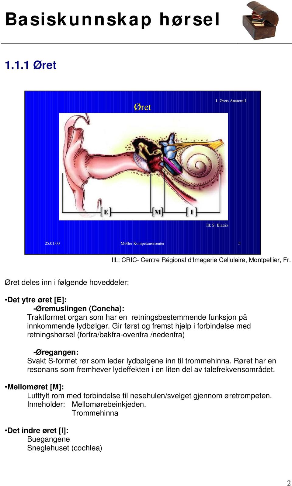 Gir først og fremst hjelp i forbindelse med retningshørsel (forfra/bakfra-ovenfra /nedenfra) -Øregangen: Svakt S-formet rør som leder lydbølgene inn til trommehinna.