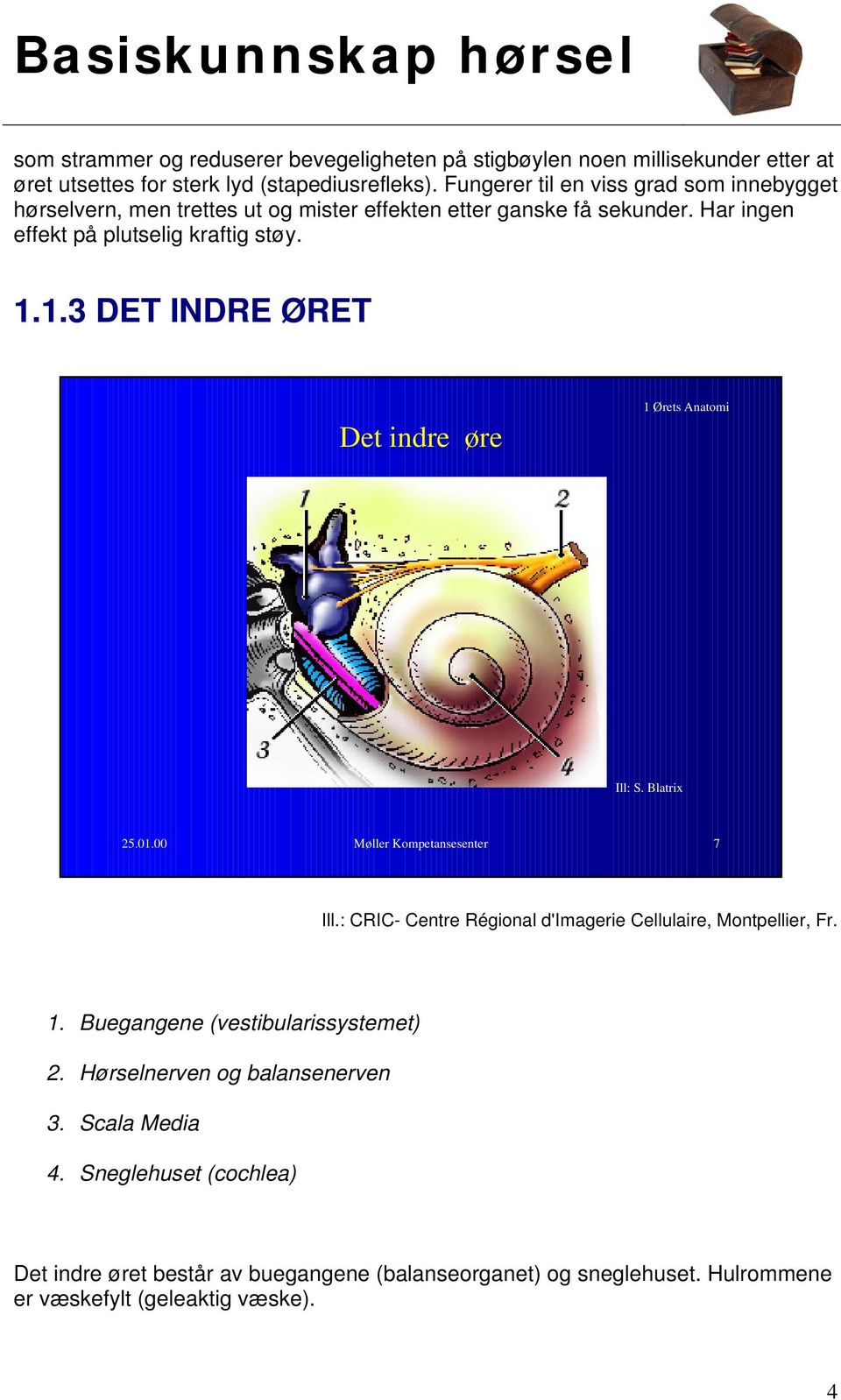 1.3 DET INDRE ØRET Det indre øre 1 Ørets Anatomi Ill: S. Blatrix 25.01.00 Møller Kompetansesenter 7 Ill.: CRIC- Centre Régional d'imagerie Cellulaire, Montpellier, Fr. 1. Buegangene (vestibularissystemet) 2.