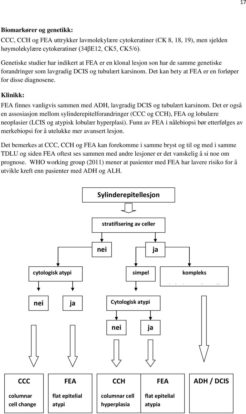 Klinikk: FEA finnes vanligvis sammen med ADH, lavgradig DCIS og tubulært karsinom.