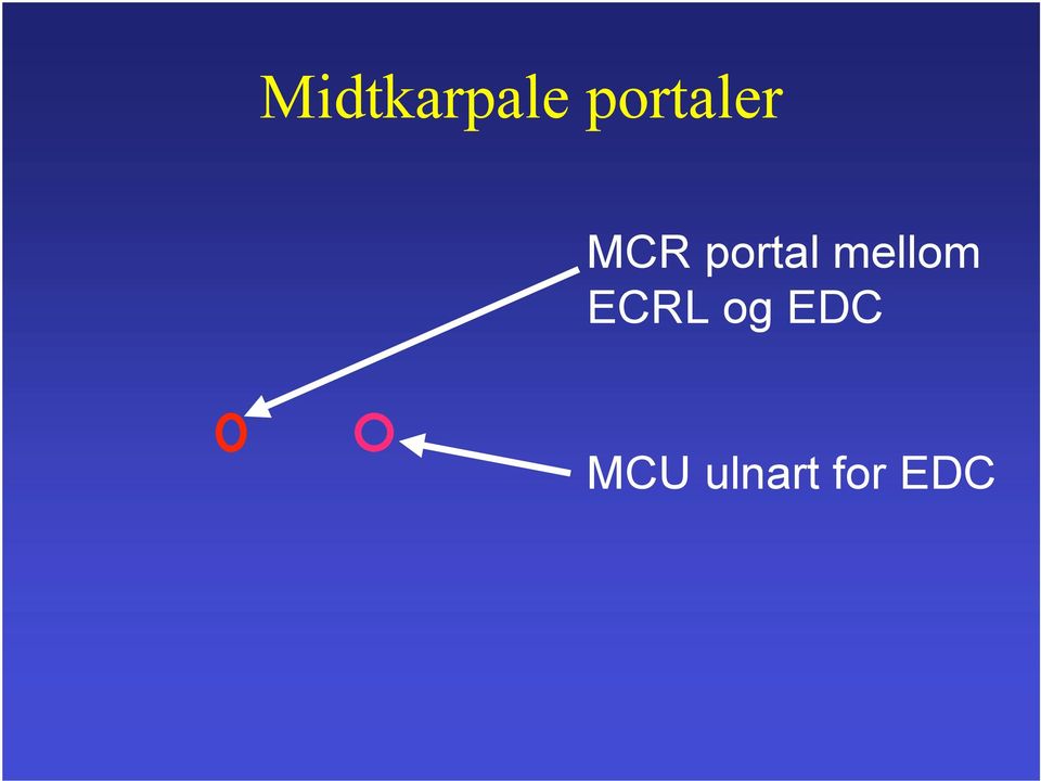 portal mellom