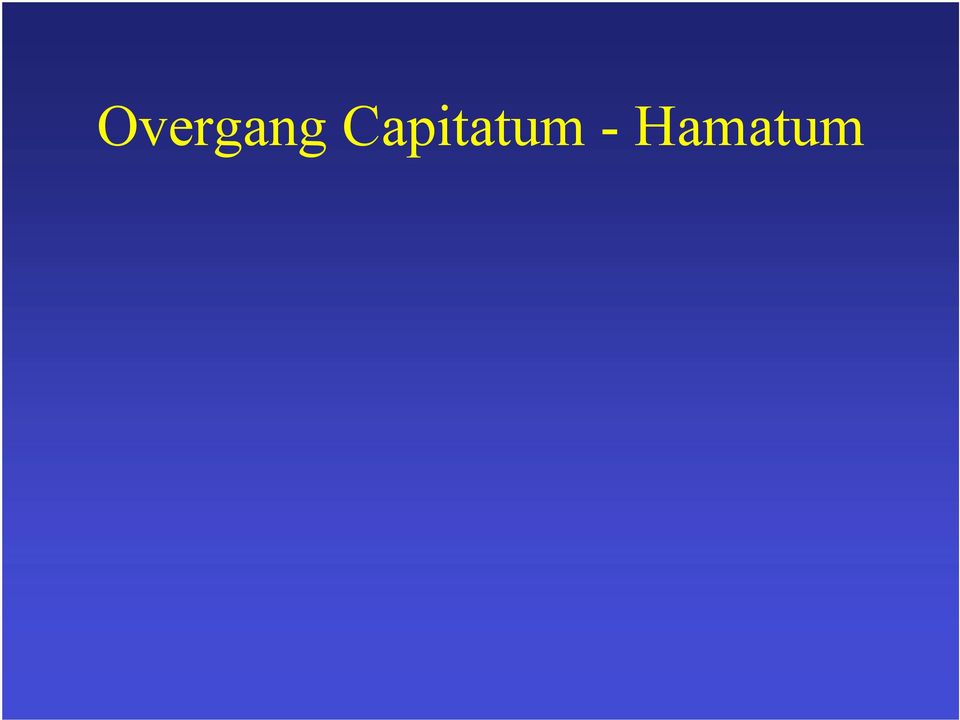 - Hamatum