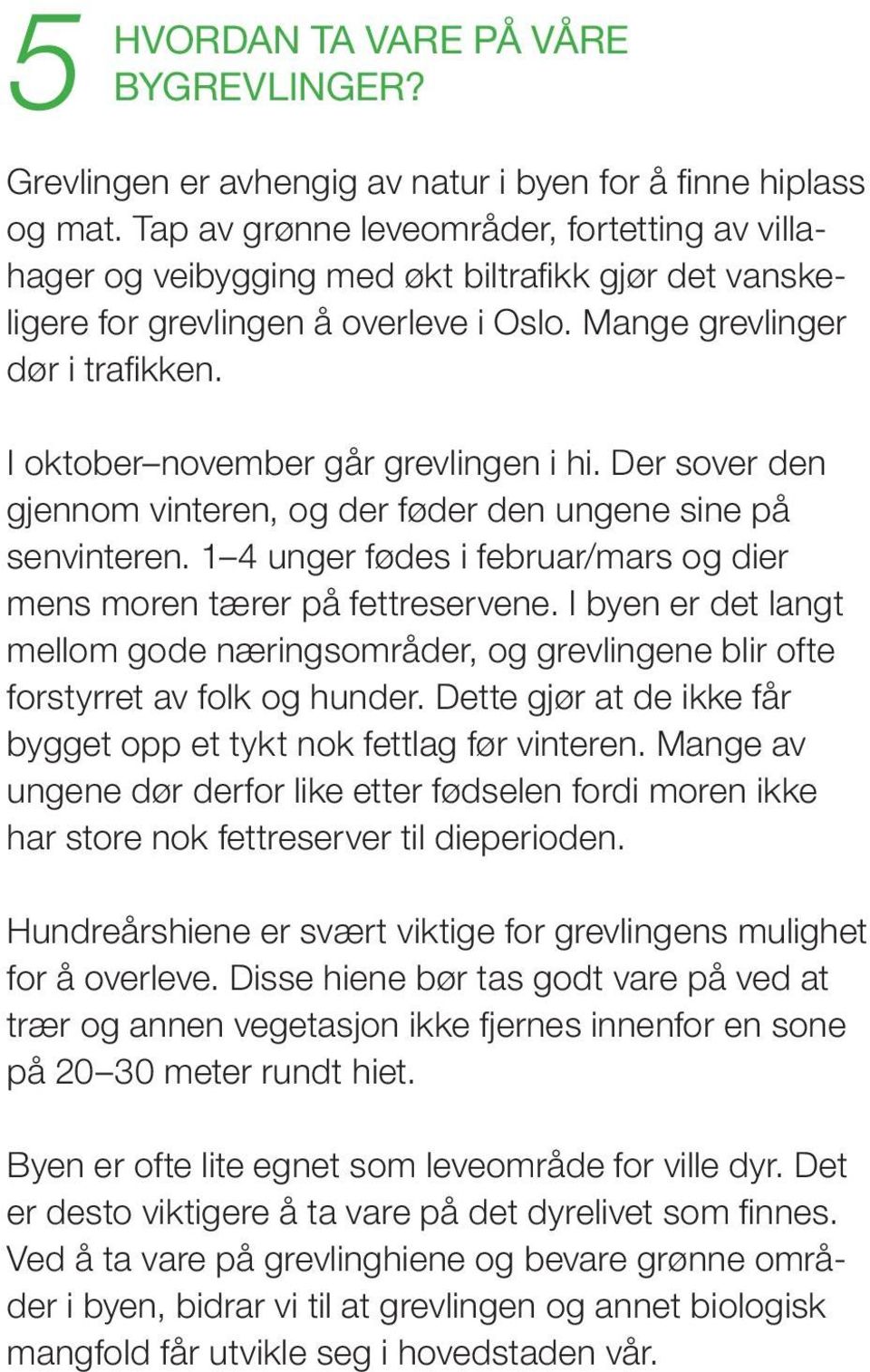 I oktober november går grevlingen i hi. Der sover den gjennom vinteren, og der føder den ungene sine på senvinteren. 1 4 unger fødes i februar/mars og dier mens moren tærer på fettreservene.