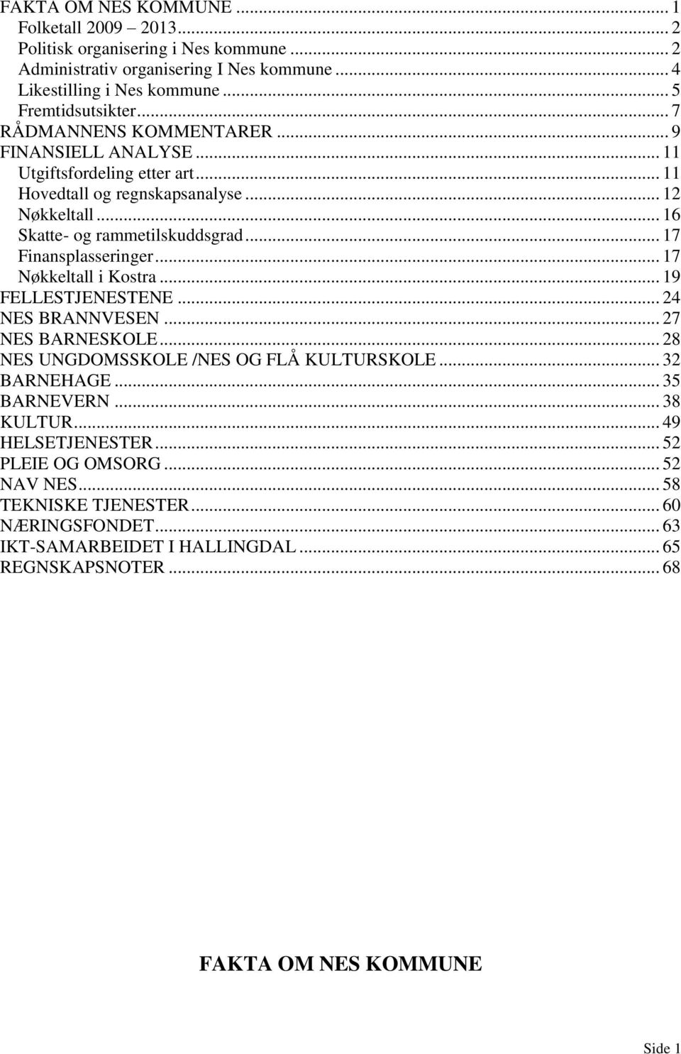 .. 17 Finansplasseringer... 17 Nøkkeltall i Kostra... 19 FELLESTJENESTENE... 24 NES BRANNVESEN... 27 NES BARNESKOLE... 28 NES UNGDOMSSKOLE /NES OG FLÅ KULTURSKOLE... 32 BARNEHAGE.