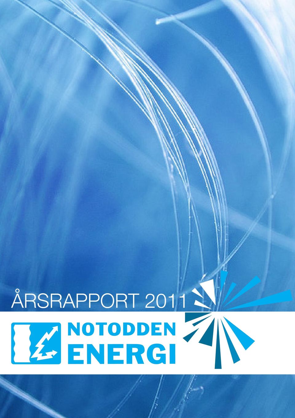 Årsrapport 