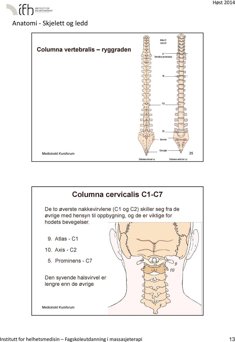 hodets bevegelser. 9. Atlas - C1 10. Axis - C2 5.