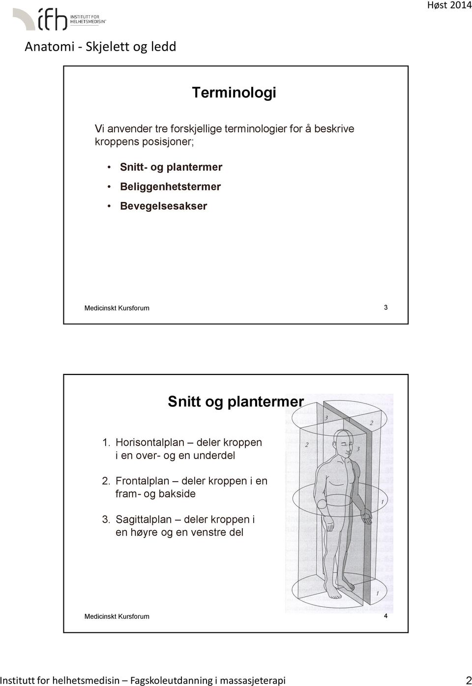 Horisontalplan deler kroppen i en over- og en underdel 2. Frontalplan deler kroppen i en fram- og bakside 3.