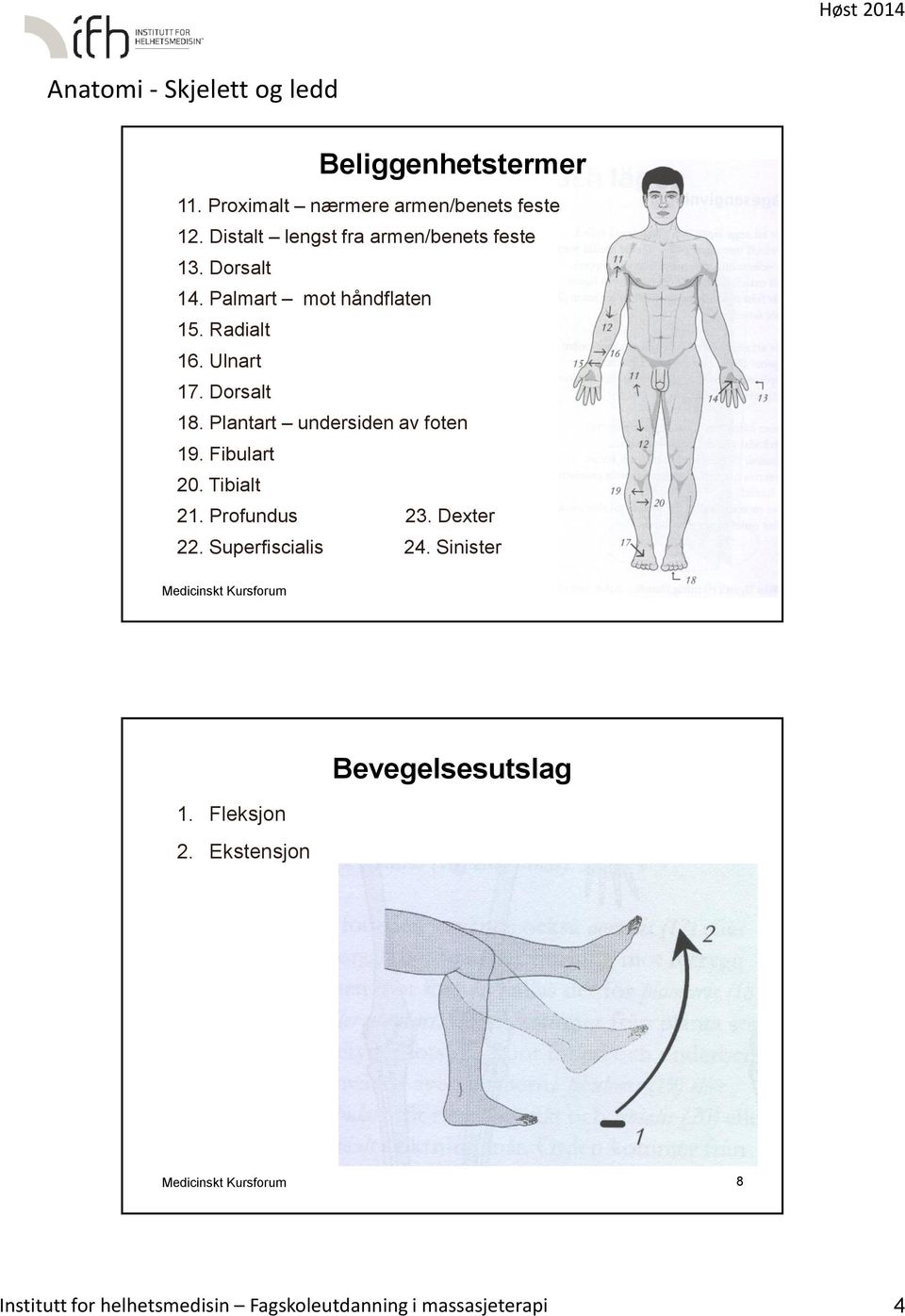 Fibulart 20. Tibialt 21. Profundus 23. Dexter 22. Superfiscialis 24. Sinister Medicinskt Kursforum 7 1.