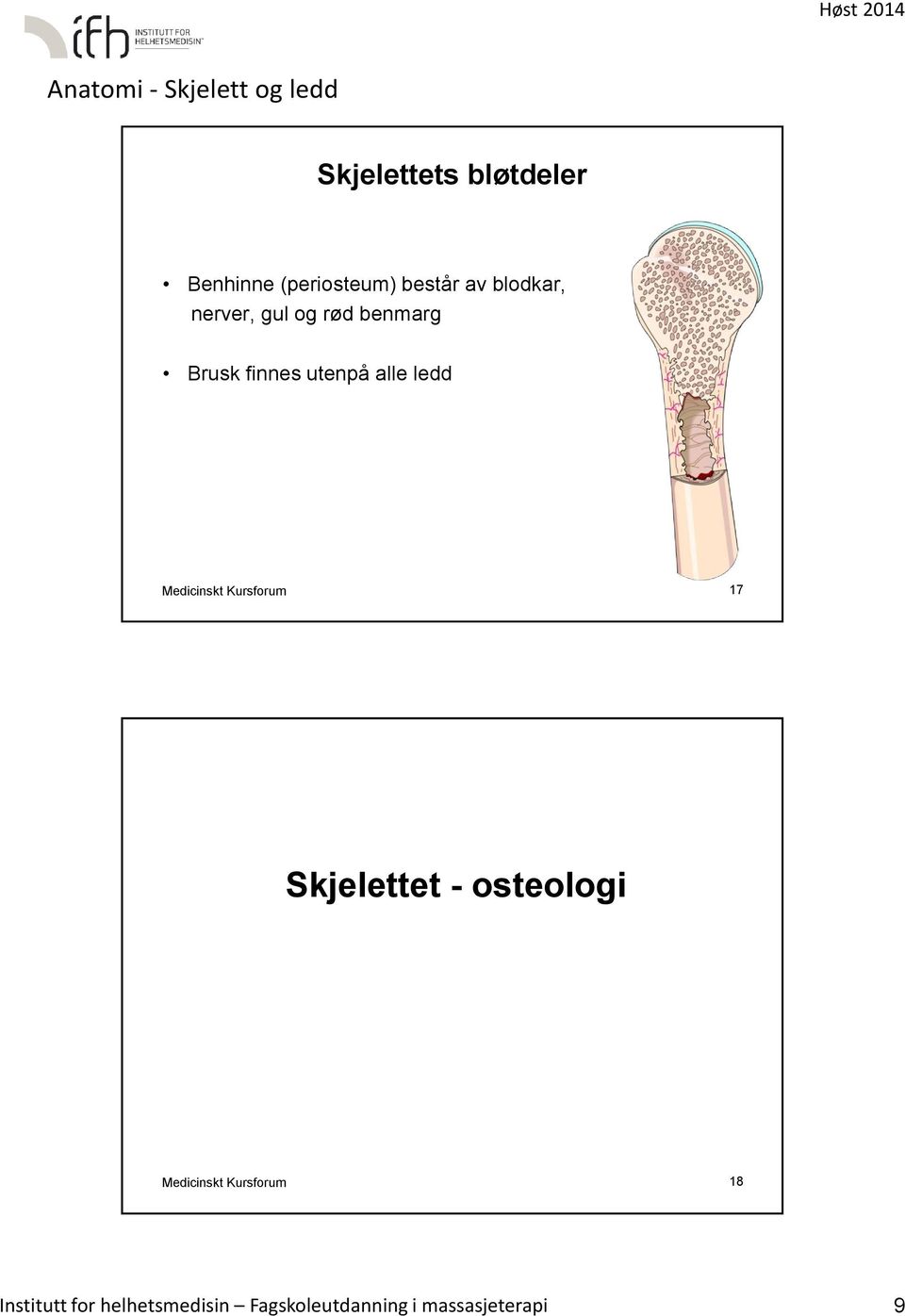Medicinskt Kursforum 17 Skjelettet - osteologi Medicinskt