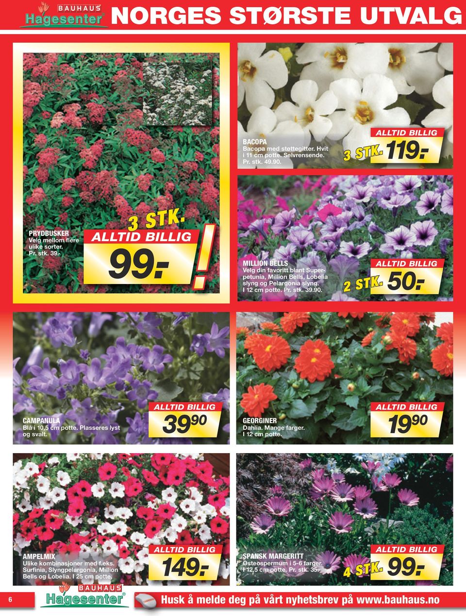 - STK. 3 MILLION BELLS Velg din favoritt blant Superpetunia, Million Bells, Lobelia slyng og Pelargonia slyng. I 12 cm potte. Pr. stk. 39.90. AMPELMIX 3990 149.- 2 STK. 50.