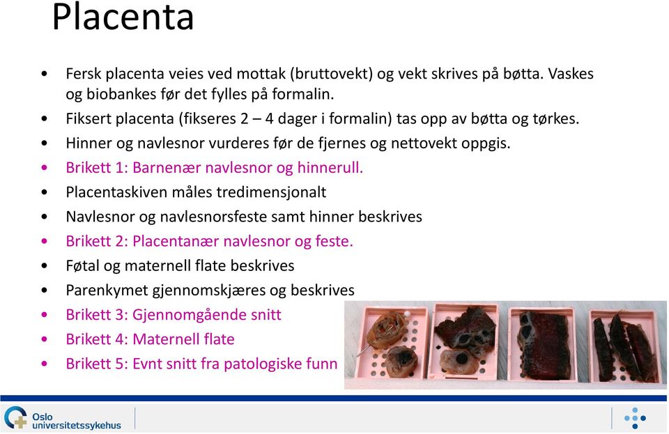 Brikett 1: Barnenær navlesnor og hinnerull.