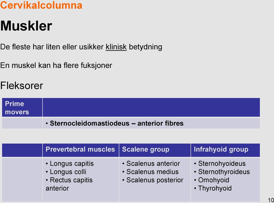 muscles Scalene group Infrahyoid group Longus capitis Longus colli Rectus capitis anterior