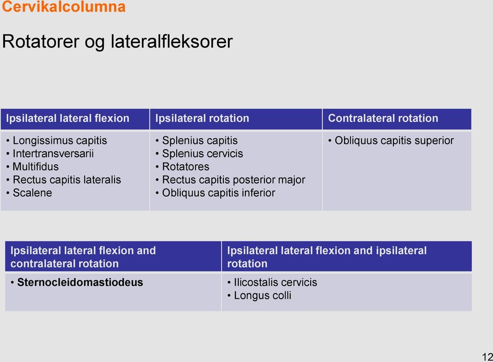 Rotatores Rectus capitis posterior major Obliquus capitis inferior Obliquus capitis superior Ipsilateral lateral flexion