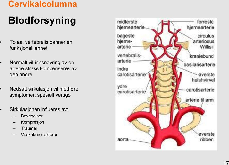 arterie straks kompenseres av den andre Nedsatt sirkulasjon vil medføre