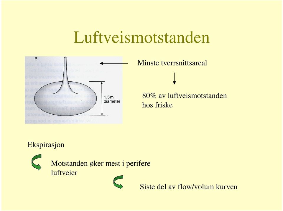 luftveismotstanden hos friske