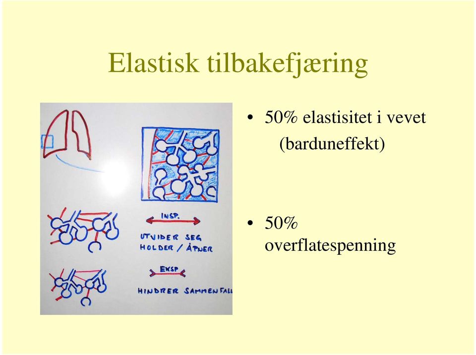 elastisitet i vevet