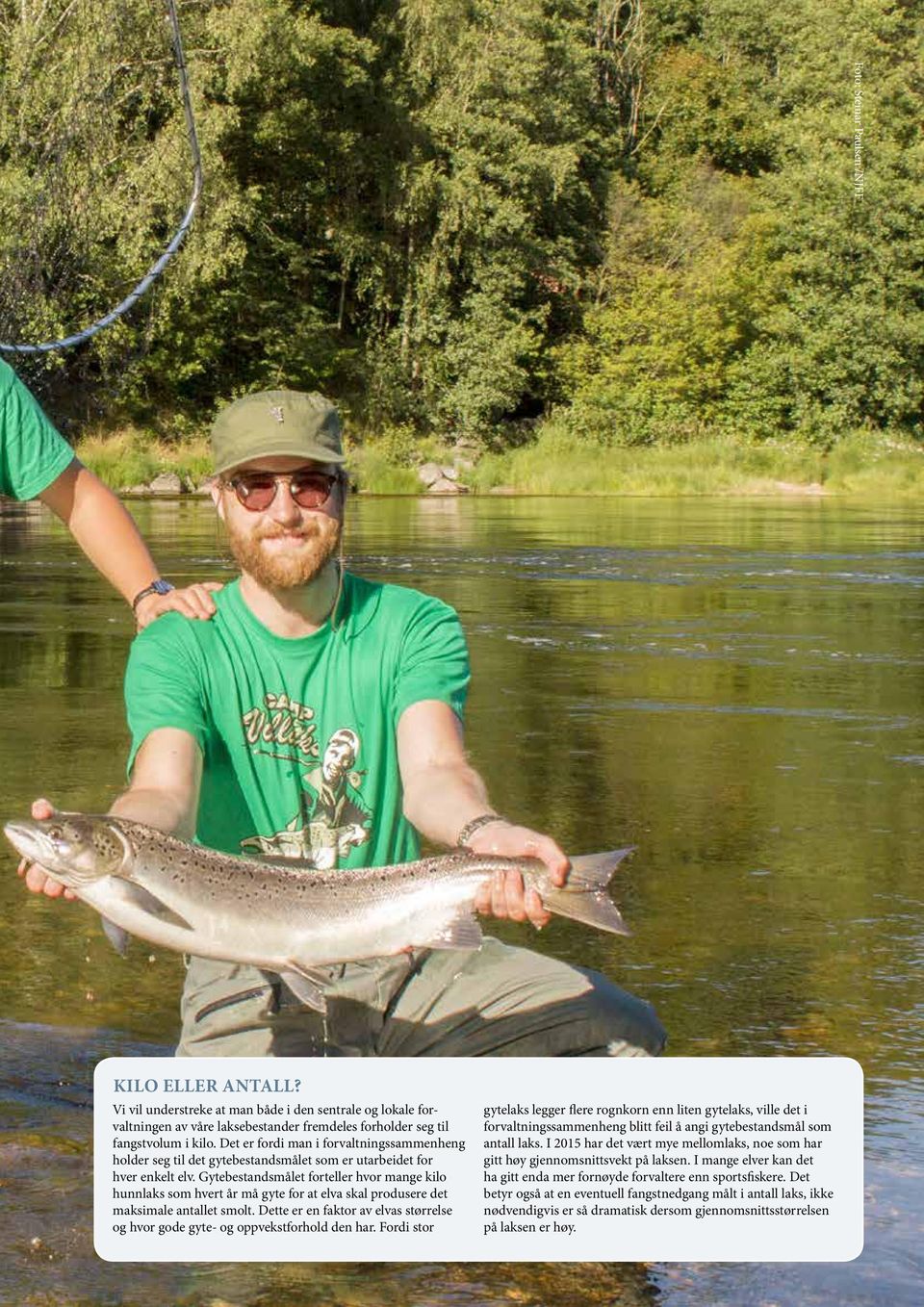 Gytebestandsmålet forteller hvor mange kilo hunnlaks som hvert år må gyte for at elva skal produsere det maksimale antallet smolt.