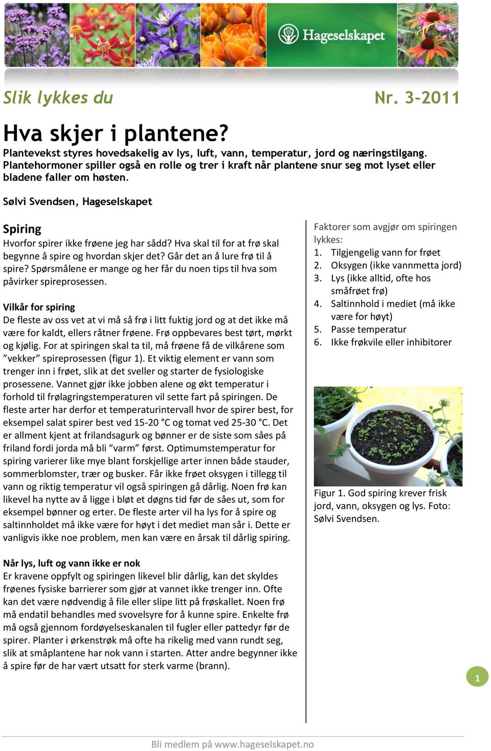 Hva skal til for at frø skal begynne å spire og hvordan skjer det? Går det an å lure frø til å spire? Spørsmålene er mange og her får du noen tips til hva som påvirker spireprosessen.