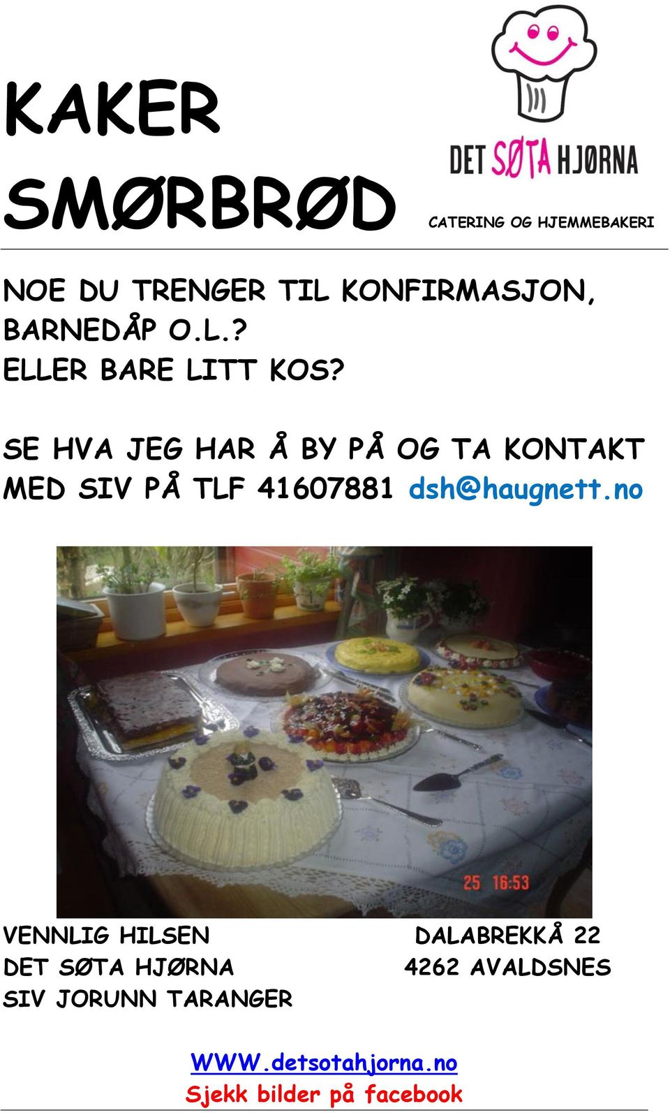 SE HVA JEG HAR Å BY PÅ OG TA KONTAKT MED SIV PÅ TLF 41607881 dsh@haugnett.