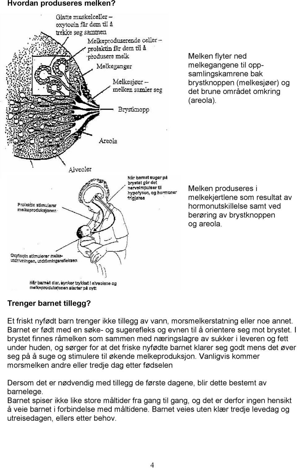 Et friskt nyfødt barn trenger ikke tillegg av vann, morsmelkerstatning eller noe annet. Barnet er født med en søke- og sugerefleks og evnen til å orientere seg mot brystet.