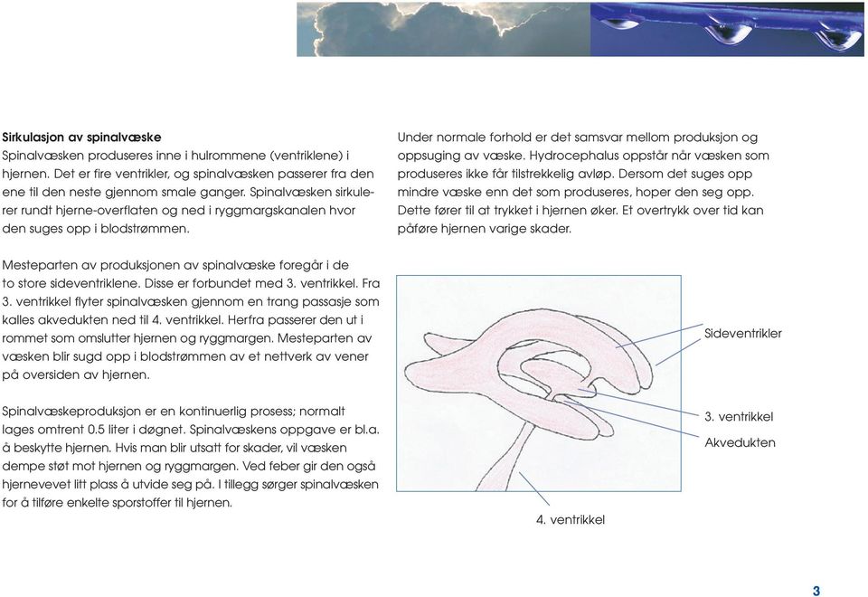 Hydrocephalus oppstår når væsken som produseres ikke får tilstrekkelig avløp. Dersom det suges opp mindre væske enn det som produseres, hoper den seg opp. Dette fører til at trykket i hjernen øker.