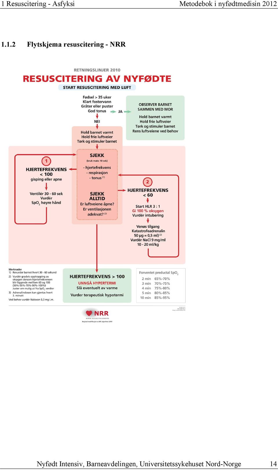 1.1.2 Flytskjema resuscitering - NRR