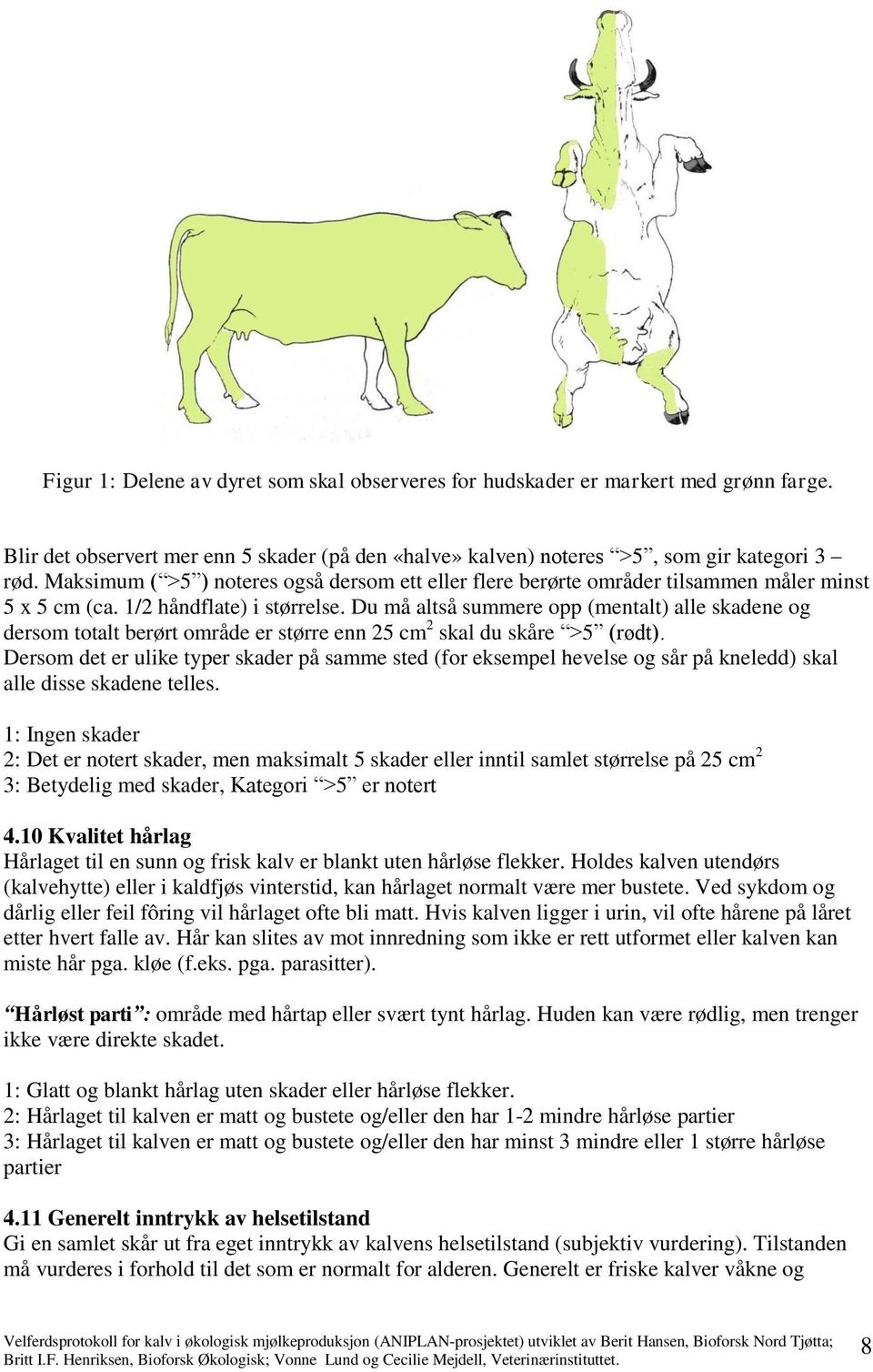 Du må altså summere opp (mentalt) alle skadene og dersom totalt berørt område er større enn 25 cm 2 skal du skåre >5 (rødt).