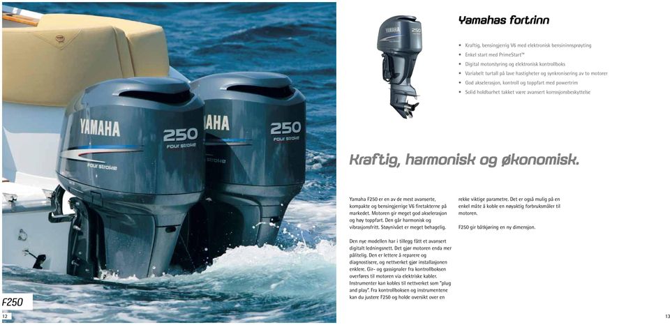 Yamaha F250 er en av de mest avanserte, kompakte og bensingjerrige V6 firetakterne på markedet. Motoren gir meget god akselerasjon og høy toppfart. Den går harmonisk og vibrasjonsfritt.