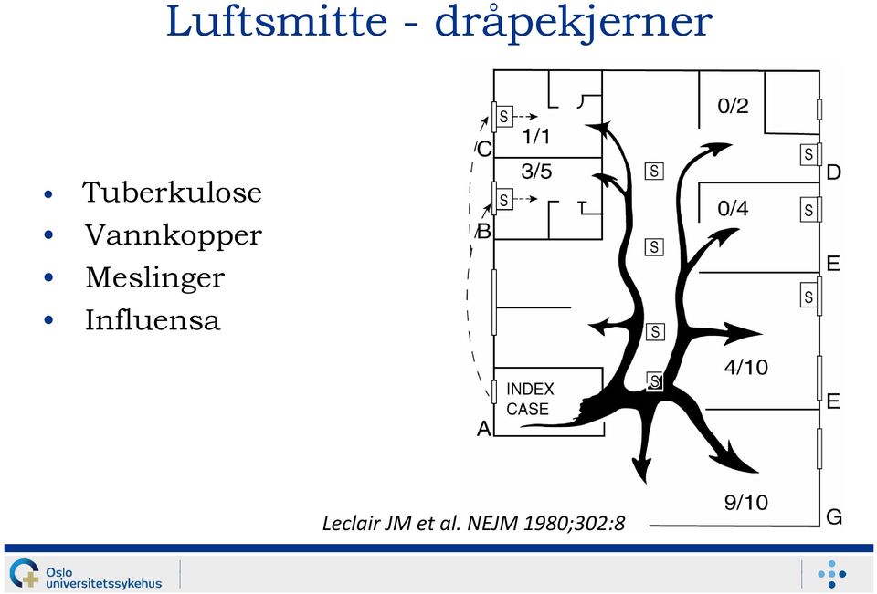 Meslinger Influensa