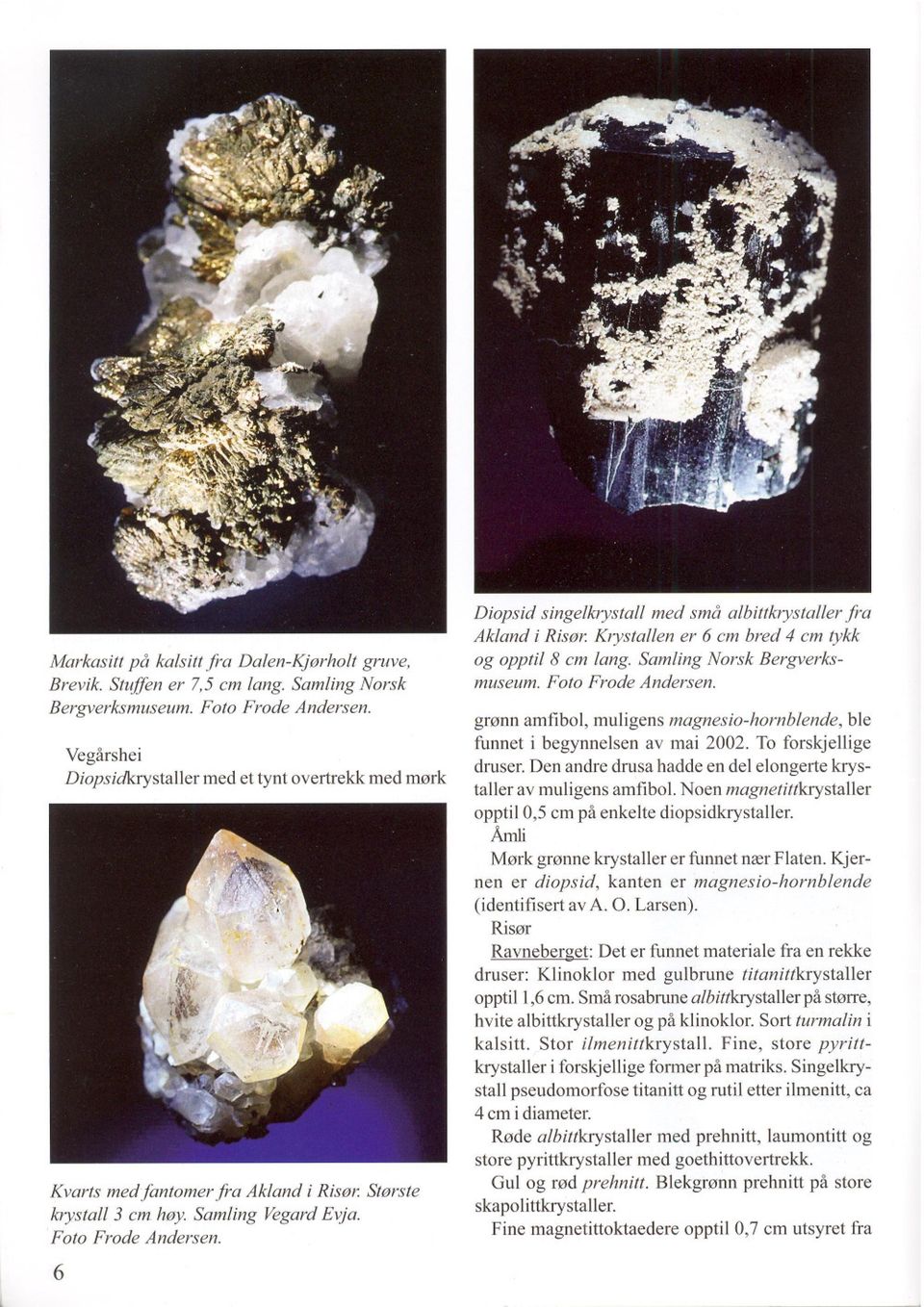 6 Diopsid singelkrystall med små albittkrystaller fra Akland irisør. Krystallen er 6 cm bred 4 cm tykk og opptil 8 cm lang. Samling Norsk Bergverksmuseum. Foto Frode Andersen.