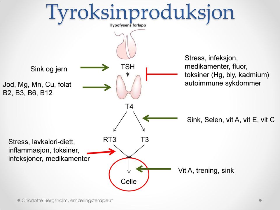 autoimmune sykdommer Sink, Selen, vit A, vit E, vit C Stress,