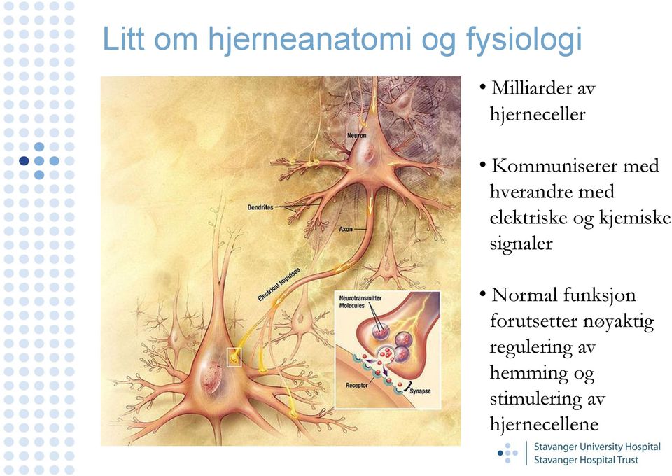 elektriske og kjemiske signaler Normal funksjon