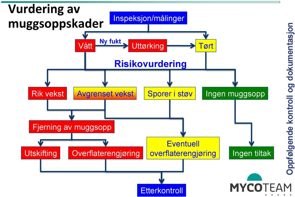 Avgrenset vekst Sporer i støv Ingen muggsopp Fjerning av muggsopp